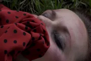 Als im Sommer eine junge Frau ermordet in einem Park nahe ihres Hauses aufgefunden wird, mit einem bizarren Andenken des Mörders, glauben die Ermittler, dass nahezu jeder aus dem Umkreis des Opfers der Täter sein könnte - bis Lt. Joe Kenda den Fall ganz neu ausrollt ... Als im Sommer eine junge Frau ermordet in einem Park nahe ihres Hauses aufgefunden wird, mit einem bizarren Andenken des Mörders, glauben die Ermittler, dass nahezu jeder aus dem Umkreis des Opfers der Täter sein könnte - bis Lt. Joe Kenda den Fall ganz neu ausrollt ...