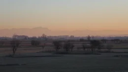 Viele vom Aussterben bedrohte Insektenarten leben im Moos.; Abendstimmung im Ampermoos.
