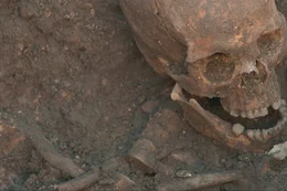 Das Skelett von K&ouml;nig Richard III. wird in Leicester gefunden.