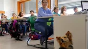Schulhund Lunka im Einsatz - 3; © BR/BILD + TEXT Medienproduktion GmbH & Co. KG. - Honorarfreie Verwendung gemäß AGB im redaktionellen Zusammenhang mit genannter Sendung bei Nennung "Bild: BR/BILD + TEXT Medienproduktion GmbH & Co. KG.". Andere Verwendung nur nach Absprache. KiKA Unternehmenskommunikation - bildredaktion@kika.de Telefon: +49.361.218-1826 Schulhund Lunka im Einsatz - 3; © BR/BILD + TEXT Medienproduktion GmbH & Co. KG. - Honorarfreie Verwendung gemäß AGB im redaktionellen Zusammenhang mit genannter Sendung bei Nennung "Bild: BR/BILD + TEXT Medienproduktion GmbH & Co. KG.". Andere Verwendung nur nach Absprache. KiKA Unternehmenskommunikation - bildredaktion@kika.de Telefon: +49.361.218-1826
