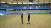 NDR Fernsehen WIE GEHT DAS? DER PERFEKTE RASEN, "Gras s&auml;en, pflegen, rollen", am Mittwoch (01.04.20) um 18:15 Uhr. Der HSV Rasen nach der Saison - komplett zerst&ouml;rt &copy; NDR/Hanse TV, honorarfrei - Verwendung gem&auml;&szlig; der AGB im engen inhaltlichen, redaktionellen Zusammenhang mit genannter NDR-Sendung bei Nennung "Bild: NDR/Hanse TV" (S2). NDR Presse und Information/Fotoredaktion, Tel: 040/4156-2306 oder -2305, pressefoto@ndr.de