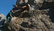 ARD/NDR LEOPARD, SEEBÄR & CO., FOLGE 83, "Tragische Geburt im Bisonrevier". Dave Nelde bei der Zählung der neugeborenen Thare. ARD/NDR LEOPARD, SEEBÄR & CO., FOLGE 83, "Tragische Geburt im Bisonrevier". Dave Nelde bei der Zählung der neugeborenen Thare.