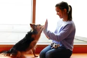 Lunka gibt Anna „High Five“. Das ist nur einer von zahlreichen Tricks, die die Hündin beherrscht. Lunka gibt Anna „High Five“. Das ist nur einer von zahlreichen Tricks, die die Hündin beherrscht.