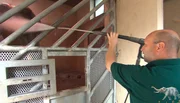 Michael Schmidt begr&uuml;&szlig;t den Elefantenbullen Hussein mit einer k&uuml;hlen Dusche.