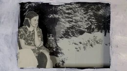 Brigitte (gesprochen von Lola Wittstamm) vermisst Frank. Die Fotocollage zeigt einen verschneiten Wald.