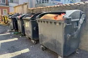 Überfüllte und beschädigte Mülltonnen in einem Kieler Hinterhof bieten Anreize für Ratten. Überfüllte und beschädigte Mülltonnen in einem Kieler Hinterhof bieten Anreize für Ratten.