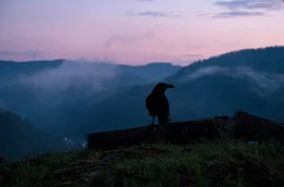 "Die Verteidigerin: Der Gesang des Raben", spielt im Hochschwarzwald.