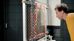 Diese Dokumentation l&uuml;ftet die Geheimnisse tierischer Extremschl&auml;fer und begleitet Wissenschaftler auf der ganzen Welt dabei, das r&auml;tselhafte Schlafverhalten der unterschiedlichsten Tiere zu erforschen. - Dr. Barrett Klein erforscht das Schlafverhalten von Bienen mit einer ungew&ouml;hnlichen Maschine.