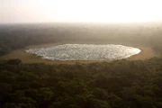 Diese Insel vor der S&uuml;dostk&uuml;ste von Indien ist kleiner als Bayern - aber ihre Natur zeigt sich derart &uuml;ppig und ihre Tier- und Pflanzenwelt so unglaublich vielf&auml;ltig, dass sich Sri Lanka in dieser Hinsicht beinahe mit einem ganzen Kontinent messen kann. Die Terra Mater-Reihe &bdquo;Wildes Sri Lanka&ldquo; widmet sich den spektakul&auml;ren Kreaturen der Insel - von dem gr&ouml;&szlig;ten S&auml;ugetier der Erde, dem Blauwal, bis zum Kleinsten, der Etruskerspitzmaus. Sri Lanka erlebt zwei Monsune pro Jahr. Doch zwischen den Regenzeiten herrscht D&uuml;rre - um diese zu &uuml;berbr&uuml;cken, legten Menschen vor mehr als 1500 Jahren gro&szlig;e Wasserreservoirs an. Die k&uuml;nstlichen Seen sind bis heute lebenswichtig f&uuml;r Sri Lankas Tierwelt. Hier kommt es jedes Jahr zur gr&ouml;&szlig;ten bekannten Ansammlung wilder Elefanten weltweit.