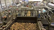 In der Produktion von Wernsing. Die Kartoffeln werden für die Weiterverarbeitung gewaschen. Weitere Fotos erhalten Sie auf Anfrage. In der Produktion von Wernsing. Die Kartoffeln werden für die Weiterverarbeitung gewaschen. Weitere Fotos erhalten Sie auf Anfrage.