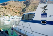 Nicht oft liegt das Forschungsboot der Meeresbiologen, die Nereis, im Hafen. Meist kreuzen die Forscher im Mittelmeer, um Pottwale auszumachen. Nicht oft liegt das Forschungsboot der Meeresbiologen, die Nereis, im Hafen. Meist kreuzen die Forscher im Mittelmeer, um Pottwale auszumachen.