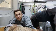 &bdquo;PUR+&ldquo;-Moderator Eric Mayer ist bei der medizinischen Untersuchung des Luchses Nero im Zoo Karlsruhe dabei. Der noch junge Luchs soll ausgewildert werden. Daf&uuml;r muss er aber gesund sein und wird daher untersucht.