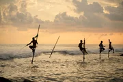 An der S&uuml;dwest-K&uuml;ste Sri Lankas warten traditionelle Stelzenfischer stundenlang geduldig auf Heringe und Makrelen, welche in der D&auml;mmerung ins flache Wasser schwimmen.