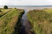 Der Perlenfluss von Lahemaa mündet hier in die Ostsee. Der Perlenfluss von Lahemaa mündet hier in die Ostsee.