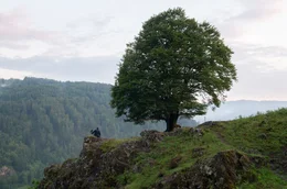 Walther Schwarz (Butz Ulrich Buse) hatte eine Leidenschaft f&uuml;r Raben.