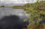 Das Moor von Öördi gehört zu den großen Mooren in Soomaa. Die Geschichte der Hochmoore reicht bisweilen über 10.000 Jahre zurück. Das Moor von Öördi gehört zu den großen Mooren in Soomaa. Die Geschichte der Hochmoore reicht bisweilen über 10.000 Jahre zurück.