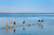 Wattwanderungen, eine steife Brise beim ausgiebigen Strandspaziergang und Radtouren stundenlang am Deich entlang sind für viele Menschen, gerade auch in NRW, der Inbegriff von Ferien. Urlaub auf einer Nordseeinsel - das bekommt aktuell einen neuen Reiz. - (Archivfoto: Wattwanderung von Föhr nach Amrum) Wattwanderungen, eine steife Brise beim ausgiebigen Strandspaziergang und Radtouren stundenlang am Deich entlang sind für viele Menschen, gerade auch in NRW, der Inbegriff von Ferien. Urlaub auf einer Nordseeinsel - das bekommt aktuell einen neuen Reiz. - (Archivfoto: Wattwanderung von Föhr nach Amrum)
