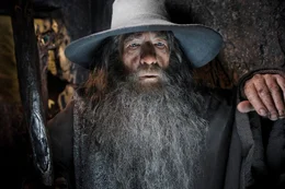 Gandalfs (Ian McKellen) Plan geht auf: Er kann den Zwerg Thorin Eichenschild und den Hobbit Bilbo davon &uuml;berzeugen, gegen den b&ouml;sen Drachen Smaug in den Kampf zu ziehen. Es beginnt eine weitere abenteuerliche Reise ...