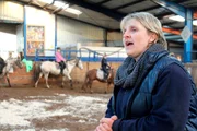 Alberts Tochter Silke gibt Reitunterricht.