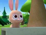 Laura