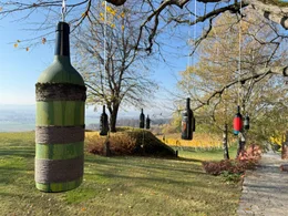 Stimmungsbild mit Weinflasche am Weingut Kogel.