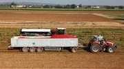Die Ernte markiert den Beginn einer langen Reise vom Acker über die Verarbeitung bis auf den Teller. Die Ernte markiert den Beginn einer langen Reise vom Acker über die Verarbeitung bis auf den Teller.