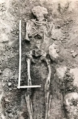 Der Skelettfund mit Halsring der 1974 im Dorf Utphe entdeckt wurde.