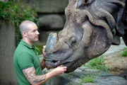 Tierpfleger Carsten Schwend und das Panzernashorn-M&auml;nnchen Yhoda im Zoo Berlin.