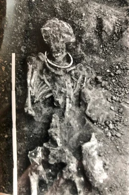 Der Skelettfund mit Halsring der 1974 im Dorf Utphe entdeckt wurde.