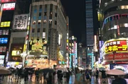 Allen, denen das n&auml;chtliche Treiben in Tokio zu viel wird, bleibt das Kino als geeigneter Zufluchtsort, denn in den dunklen S&auml;len herrscht Ruhe.