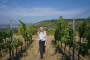 Spaziergang Sarah Pernerstetter durch den Weingarten der Familie Topf Spaziergang Sarah Pernerstetter durch den Weingarten der Familie Topf