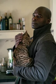 Dembe Zuma (Hisham Tawfiq) Dembe Zuma (Hisham Tawfiq)