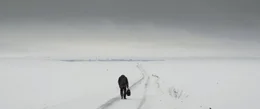 Samet (Deniz Celiloğlu) k&auml;mpft sich durch den Schnee.