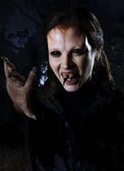 Lena (Amy Acker) ist ein Spinnensatan und hat ihr nächstes Opfer bereits im Visier. Kann sie noch rechtzeitig gestoppt werden? Lena (Amy Acker) ist ein Spinnensatan und hat ihr nächstes Opfer bereits im Visier. Kann sie noch rechtzeitig gestoppt werden?