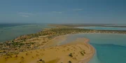 In den Seegraswiesen von Shark Bay leben unzählige Haie, Delfine und Dugongs. In den Seegraswiesen von Shark Bay leben unzählige Haie, Delfine und Dugongs.