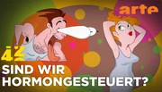 Hormone spielen eine große Rolle für unser Verhalten und doch greift es natürlich zu kurz, menschliches Erleben und Erfahrung auf eine objektiv messbare biologische Ebene zu reduzieren. Hormone spielen eine große Rolle für unser Verhalten und doch greift es natürlich zu kurz, menschliches Erleben und Erfahrung auf eine objektiv messbare biologische Ebene zu reduzieren.