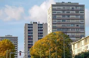 Babyboom l&auml;sst St&auml;dte wachsen: Die geburtenstarke Nachkriegsgeneration forderte auch in Paris mehr Wohnraum, wodurch neue Geb&auml;ude in der Vorstadt gebaut wurden.