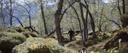 H&eacute;l&egrave;ne (Vicky Krieps) spaziert durch die Natur.