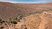 Die Karoo-Wüste ist ein bedeutendes und ergiebiges Fundgebiet für Fossilien aus der Zeit vor den Dinosauriern. Die Karoo-Wüste ist ein bedeutendes und ergiebiges Fundgebiet für Fossilien aus der Zeit vor den Dinosauriern.