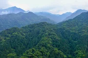 Im südlichen Japan liegt Yakushima. Die Insel mit ihren bis zu 2.000 Meter hohen Berggipfeln bildete sich vor 15 Millionen Jahren durch vulkanische Aktivität. Im südlichen Japan liegt Yakushima. Die Insel mit ihren bis zu 2.000 Meter hohen Berggipfeln bildete sich vor 15 Millionen Jahren durch vulkanische Aktivität.