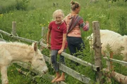 Yvonne Roider mit Tochter Elisa und den ungarischen Barockeseln Yvonne Roider mit Tochter Elisa und den ungarischen Barockeseln
