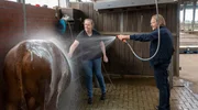 Für die bevorstehende Rinder-Schau steht für einen der Angus-Rinder ein Schönheitsprogramm an: Björn Freitag (r.) hilft Wiebke Schobert beim Waschen und anschließenden Stylen. Für die bevorstehende Rinder-Schau steht für einen der Angus-Rinder ein Schönheitsprogramm an: Björn Freitag (r.) hilft Wiebke Schobert beim Waschen und anschließenden Stylen.