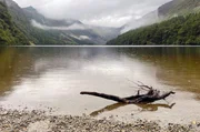Morgenstimmung im Tal von Glendalough: Auf Regen muss man gefasst sein in Irland, in jeder Jahreszeit. Morgenstimmung im Tal von Glendalough: Auf Regen muss man gefasst sein in Irland, in jeder Jahreszeit.