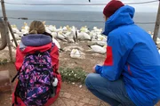 Kira beobachtet mit Johannes Basst&ouml;lpel.