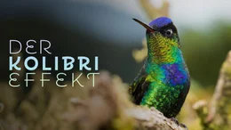 +++ Die Verwendung des sendungsbezogenen Materials ist nur mit dem Hinweis und Verlinkung auf RTL+ gestattet. +++