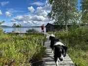 Andrea Windolph und Alexander Blumenau genießen ihr Leben am Karats-See mit ihrem Border Collie. Andrea Windolph und Alexander Blumenau genießen ihr Leben am Karats-See mit ihrem Border Collie.