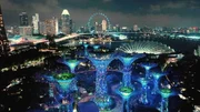 Die solarbetriebenen "Supertrees" in Singapur: Künstliche Bäume, die in der Nacht aufwändig in Szene gesetzt werden. Die solarbetriebenen "Supertrees" in Singapur: Künstliche Bäume, die in der Nacht aufwändig in Szene gesetzt werden.