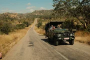 Safari in Simbabwe: Mit dem Jeep geht's raus in die Savanne auf Nashorn-Spurensuche. Die Volunteers werden von einem erfahrenen Ranger begleitet. Safari in Simbabwe: Mit dem Jeep geht's raus in die Savanne auf Nashorn-Spurensuche. Die Volunteers werden von einem erfahrenen Ranger begleitet.