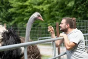 Auf dem Hof im Teutoburger Wald von heutigen Gastgeber Nils M&ouml;ller dreht sich alles um die gr&ouml;&szlig;ten V&ouml;gel der Welt. Die Idee, auf der alten Hofstelle seines Gro&szlig;vaters Strau&szlig;e zu halten und zu z&uuml;chten, kam dem 33-J&auml;hrigen vor acht Jahren am Lagerfeuer. Der gelernte Agrarservice-Fachmann entdeckte auf Reisen in der Welt Emus und Strau&szlig;e, die ihn direkt faszinierten.