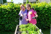 Josefine und Emma von der Wilhelm-Lehmbruck-Schule in Dorsten haben für das gemeinsame Schulgarten-Projekt ein Hochbeet bepflanzt. Dort sollen zukünftig für das Schulessen frisches Gemüse und Kräuter geerntet werden. Josefine und Emma von der Wilhelm-Lehmbruck-Schule in Dorsten haben für das gemeinsame Schulgarten-Projekt ein Hochbeet bepflanzt. Dort sollen zukünftig für das Schulessen frisches Gemüse und Kräuter geerntet werden.